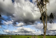 天涯十大神贴之小月月风云再起