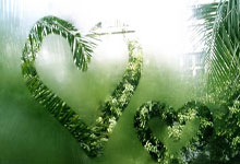 天涯十大神贴之小月月风云再起