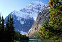 天涯十大神贴之小月月风云再起