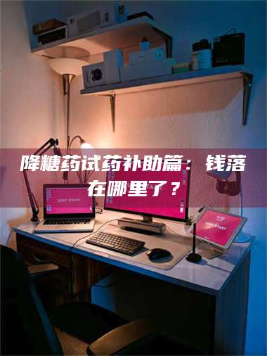 降糖药试药补助篇：钱落在哪里了？